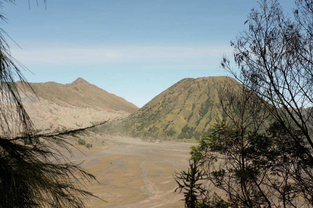 Mentigen Homestay Ngadisari Buitenkant foto