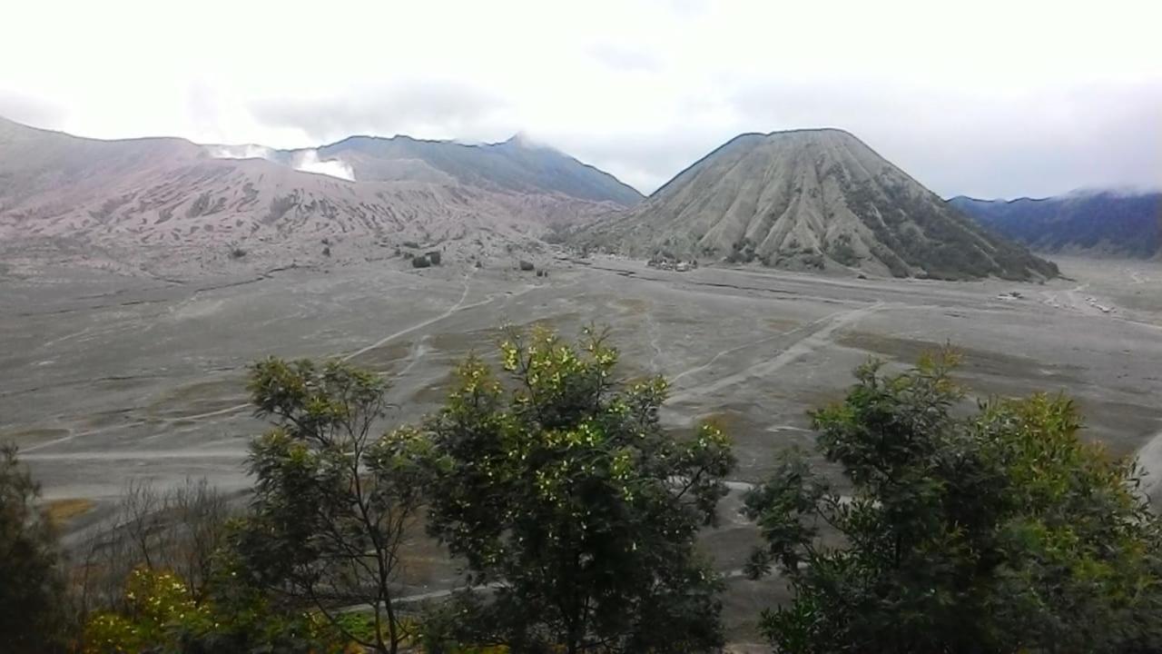 Mentigen Homestay Ngadisari Buitenkant foto