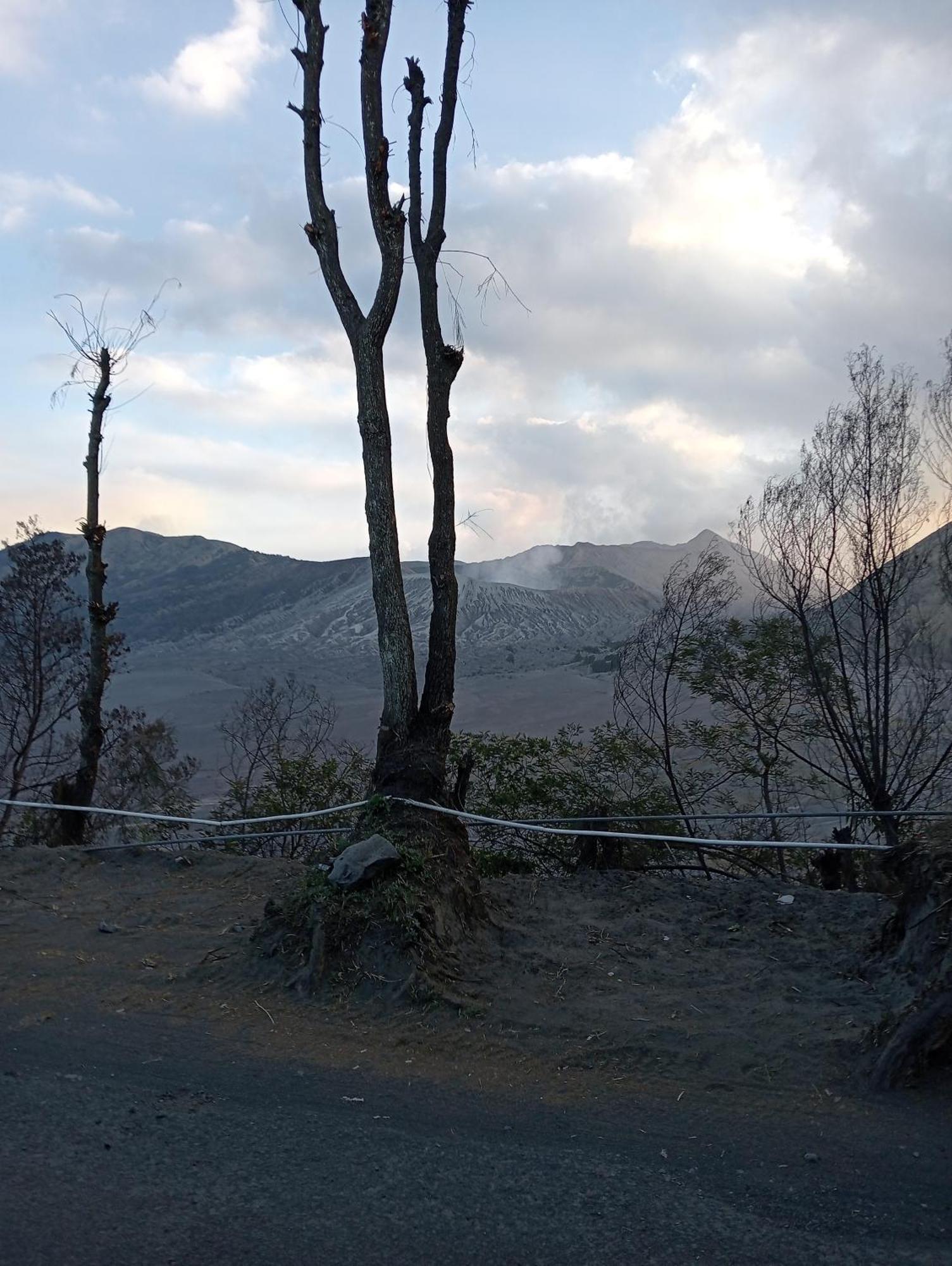 Mentigen Homestay Ngadisari Buitenkant foto